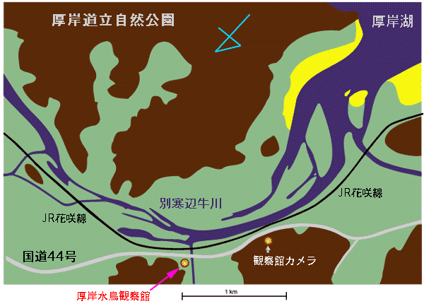 観察館周辺マップ