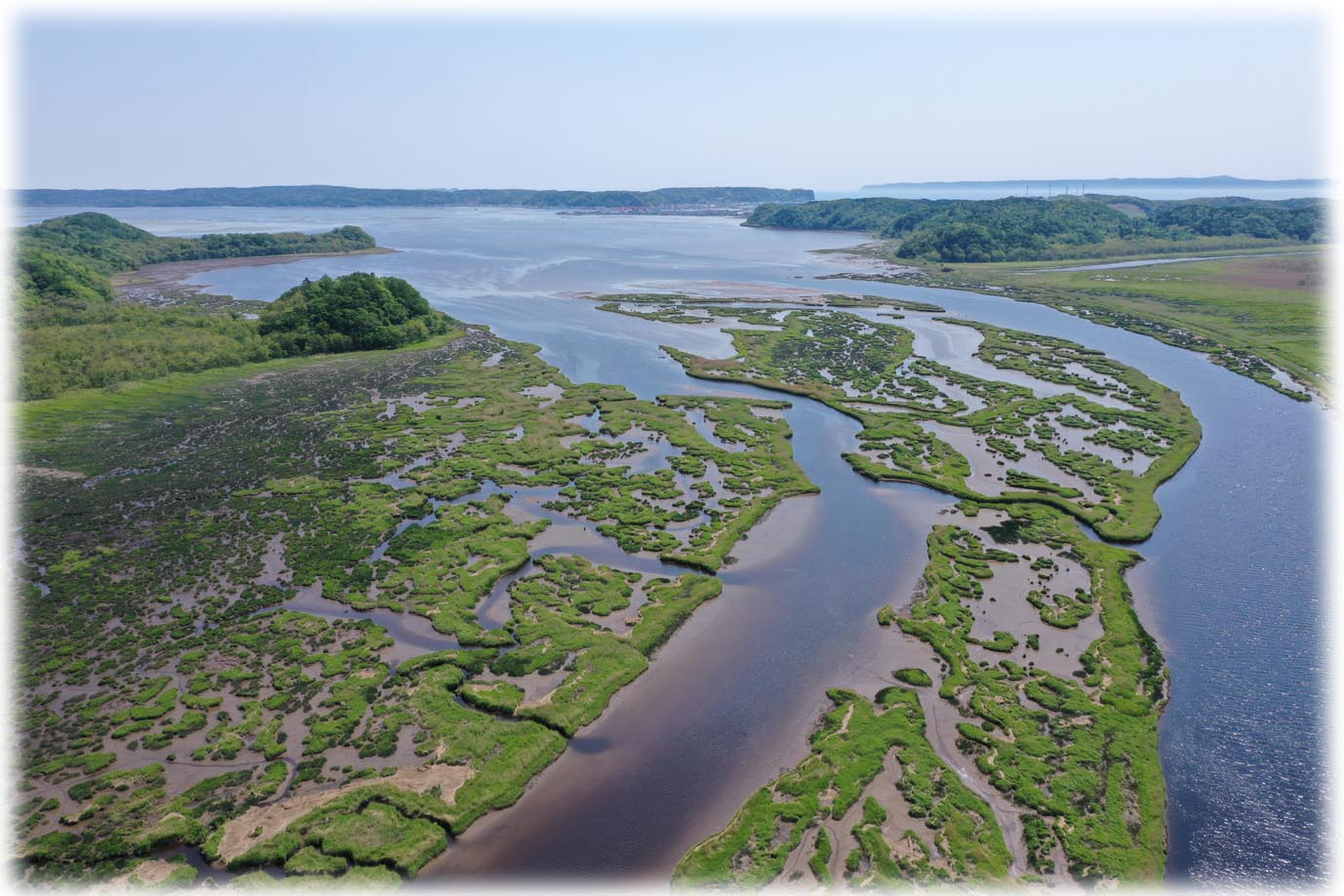 別寒辺牛湿原の風景